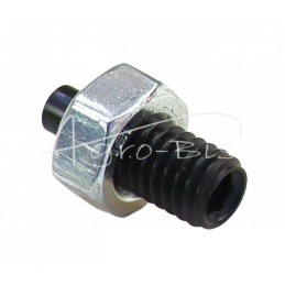 20 vnt - Kompresoriaus šakės varžtas C-360 5423061/4 - 4650944/1