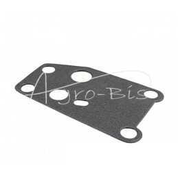 20 vnt - C-385 alyvos filtro korpuso tarpinė - 64001005