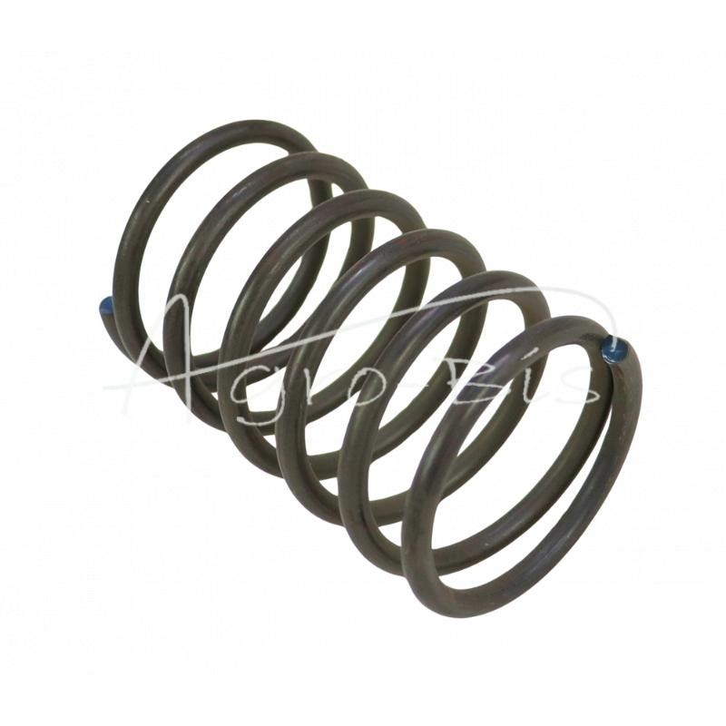 20 vnt - Zetor spyruoklė - 78126006