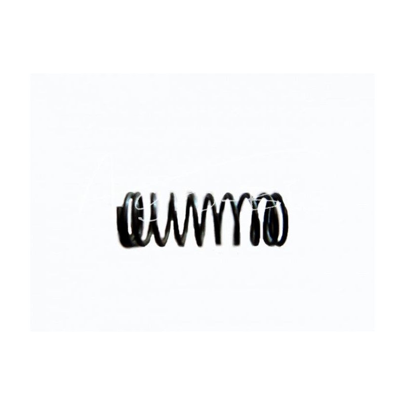 20 vnt - Poznanės sėjamosios rankenos spyruoklė - 302303012