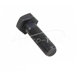 20 vnt - Šešiakampė galvutė, dalinis sriegis M12x1,25x40, labai smulkus žingsnis, DIN960 - smagratis T25 - D301005336B2