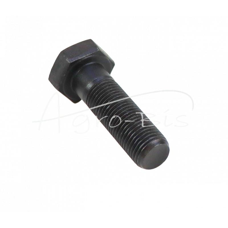 20 vnt - Šešiakampė galvutė, dalinis sriegis M12x1,25x40, labai smulkus žingsnis, DIN960 - smagratis T25 - D301005336B2