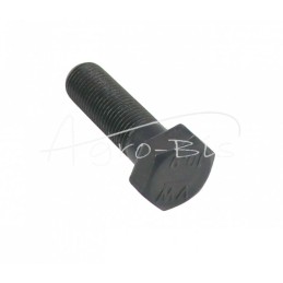 20 vnt - Šešiakampė galvutė, dalinis sriegis M12x1,25x40, labai smulkus žingsnis, DIN960 - smagratis T25 - D301005336B2