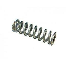 20 vnt - Purkštuvo vožtuvo sekcijos spyruoklė 4031090090 nerūdijančio plieno - AGR 240310