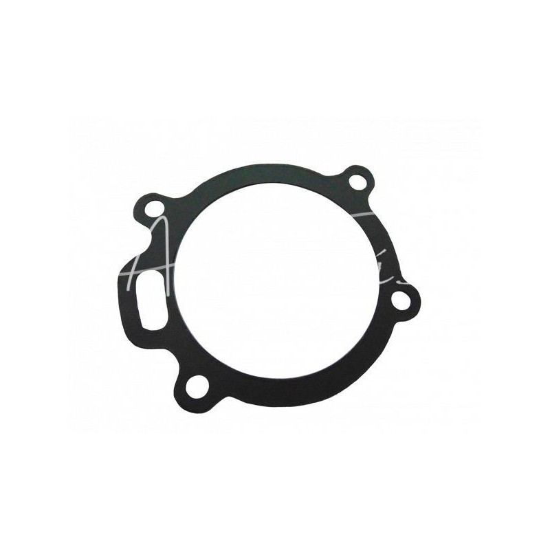 20 vnt - Vandens siurblio korpuso tarpinė 36866721 Ursus MF-4 - UR044552