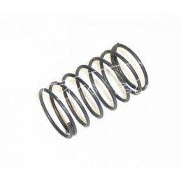 20 vnt - „Kos Polska“ barstytuvo dygliuotojo disko prispaudimo spyruoklė - 201502011