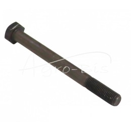 20 vnt - Šešiakampė galvutė, dalinis sriegis, M10x1,25x110, smulkus žingsnis, 5.8 klasė, DIN960 - M10x1,25x110