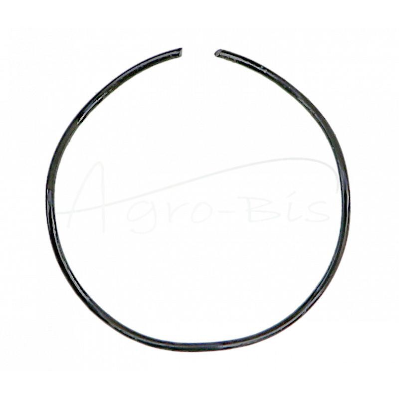 20 vnt - Galinio tilto reduktoriaus įdėklo spyruoklė C-360 ANDORIA, - 50428080AM