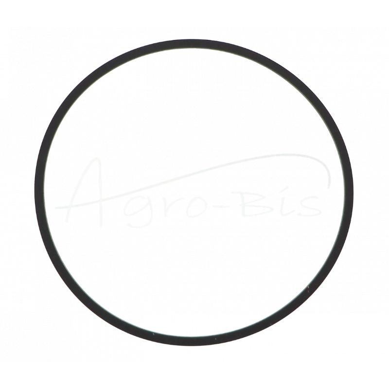 20 vnt - Kuro priešfiltrio nuosėdų taurės tarpinė T-25 Polish - 501105013