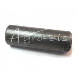 20 vnt - Smagračio veleno kaištis FI-12x30/35 T-25 - D301005319