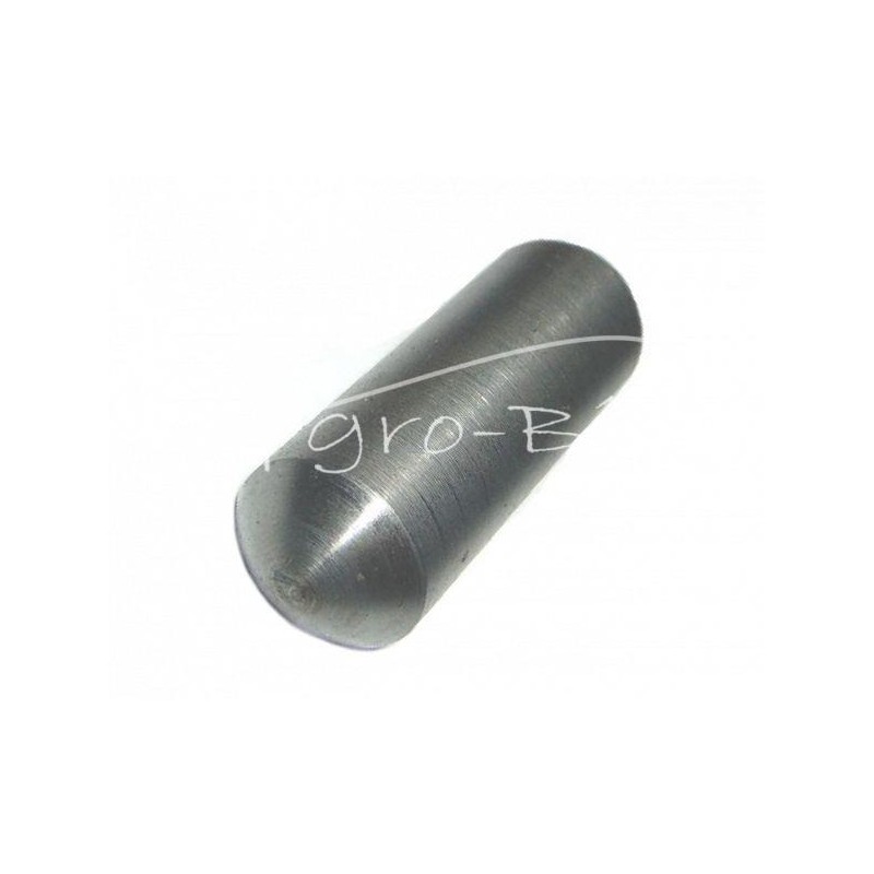 20 vnt - Čekiškas vejapjovės volelis 508903007 - 532193100282