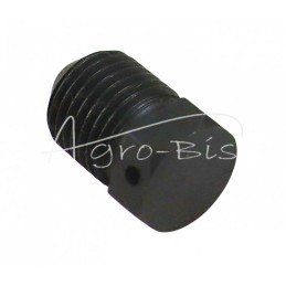 20 vnt - Sinchronizatoriaus šakės varžtas - 86127014