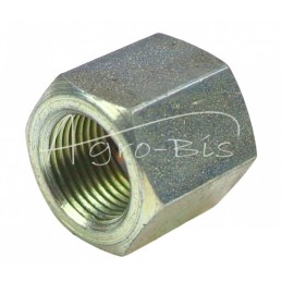 20 vnt - Termoplastinės žarnos veržlė M12x1 kabinos žarnoms Renault PZL-Hydrauliniam sunkvežimiui - PPK-R-00-01