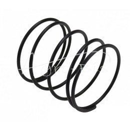 20 vnt - C-360 kėlimo filtro spyruoklė - 50546690