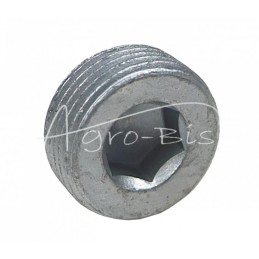 20 vnt - Srieginė kištukas su šešiakampiu lizdu - Allen raktas, su kūginiu sriegiu M22x1.5 DIN906, cinkuotas - M22x1,5-D906