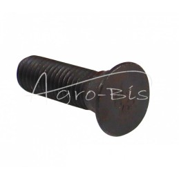 50 vnt - Noragėlių varžtas M10x35, 8.8 klasė, Lenkija - M10*35R/8,8