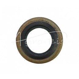 50 vnt - Metalinė-guminė poveržlė su BSP kreipikliu, colio 10,37x15,88x2,0 1/8" - PMG-1/8