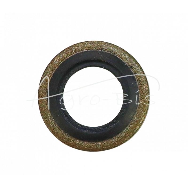 50 vnt - Metalinė-guminė poveržlė su BSP kreipikliu, colio 10,37x15,88x2,0 1/8" - PMG-1/8