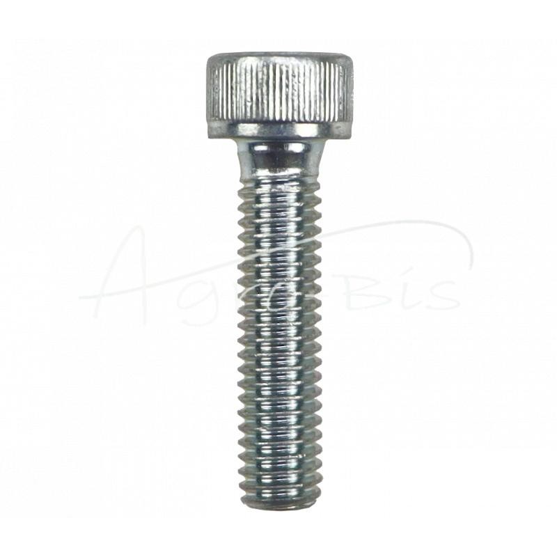 50 vnt - Šešiakampis varžtas, cilindrinė galvutė DIN912 6x25 - HAN00697