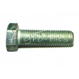 50 vnt - Šešiakampė galvutė, pilnas sriegis, 3/8" x 1 1/4" UNF DIN961, cinkuota - MF termostatų korpusai - 0096431