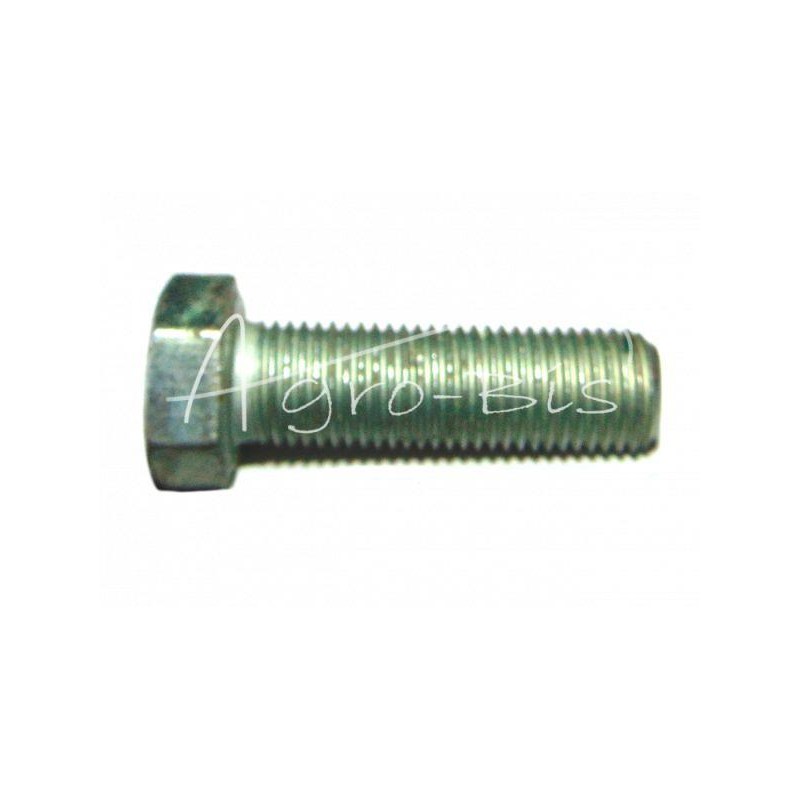 50 vnt - Šešiakampė galvutė, pilnas sriegis, 3/8" x 1 1/4" UNF DIN961, cinkuota - MF termostatų korpusai - 0096431