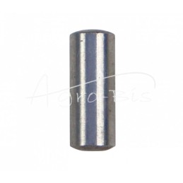 50 vnt - Klaviatūros laikiklio tvirtinimo kaištis 50001080 Ursus C-330 - 5427017/8