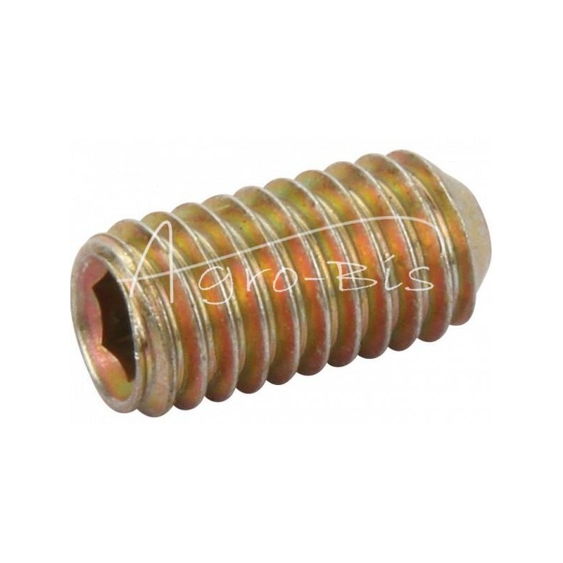 50 vnt - Kūginis fiksavimo varžtas 6x12 DIN 553, PN 82273, ISO 7434 - DA153