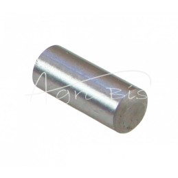 50 vnt - Klaviatūros laikiklio cilindrinis kaištis 6n6x14mm 50505200 Zetor Ursus C-360 - 5427016/4