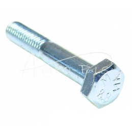 50 vnt - Šešiakampė galvutė, dalinis sriegis M10x60, 8.8 klasė, DIN931, baltai cinkuotas - M10x60/M