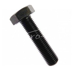 50 vnt - Šešiakampė galvutė, pilnas sriegis, M10x1,25x40, smulkus žingsnis, 10.9 klasė, DIN961, neapdorotas - 54213223