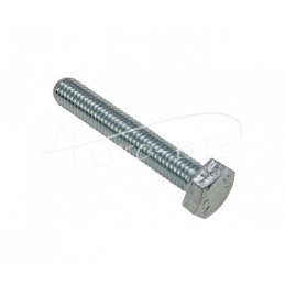 50 vnt - Šešiakampė galvutė, pilnas sriegis, M10x60, 8.8 klasė, DIN933, baltai cinkuotas - M10x60 DIN933