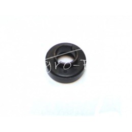 50 vnt - Protektorius Poznanė, Polonezas - 30430005102