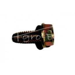 50 vnt - Kapoto ir prietaisų skydelio varžtas MF 5/16x5/8 poliruotas - 365008X1