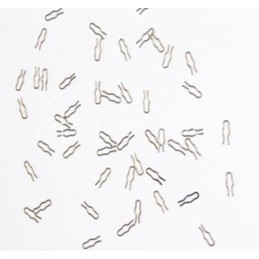 50 vnt - Hidraulinis pulsatorius - melžimo aparato kaištis 952676-01 - 830502015/0