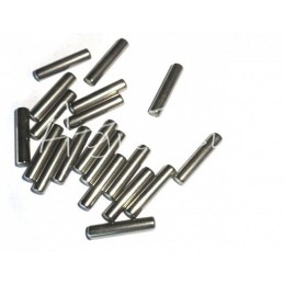 100 vnt - Guolio adata 5x23,8 vnt. - 5x23,8