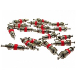 100 vnt - Trumpas vidinis vamzdžio vožtuvas, vožtuvo įdėklas - 0045/K