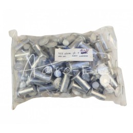 100 vnt - Aliumininė plokščia kniedė 10x25 DIN7338 , - NIT10x25