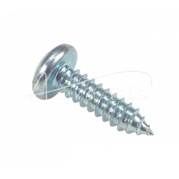 100 vnt - Specialus melžimo čiaupo varžtas 6,3x22 8305/12/50076 - 50076