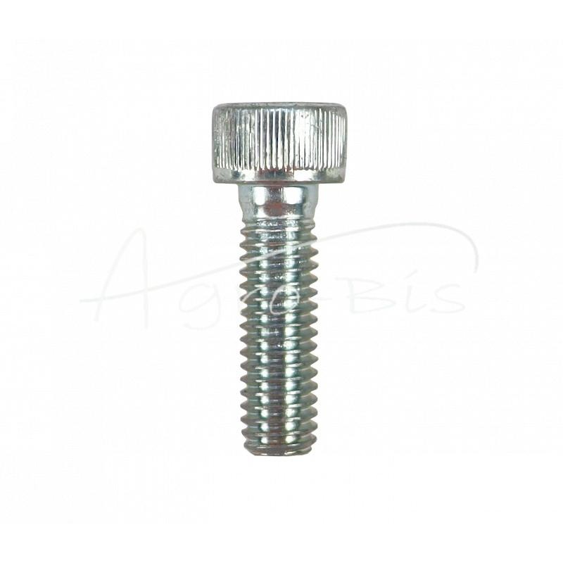 100 vnt - Šešiakampis varžtas, cilindrinė galvutė DIN912 6x20 - HAN00686