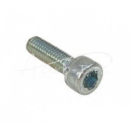 100 vnt - Šešiakampis varžtas, cilindrinė galvutė DIN912 6x20 - HAN00686