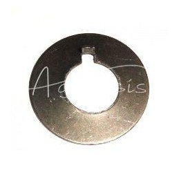 100 vnt - Ursus C-360 vandens siurblio tvirtinimo poveržlė, poliruota - 50506120