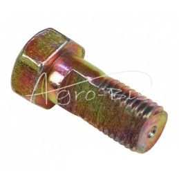 100 vnt - Perpildymo varžtas M10X1.25 L-22 - 001464