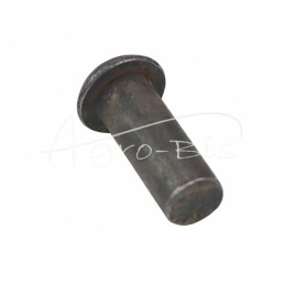 100 vnt - Plieninė kniedė 10x30 rutulinė galvutė DIN660 DIN124 tinka ekskavatoriui, - NIT10x30/K