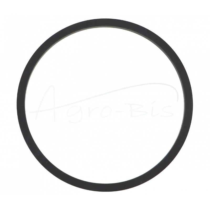 100 vnt - Kuro filtro tarpinė poliruokliui - F5022