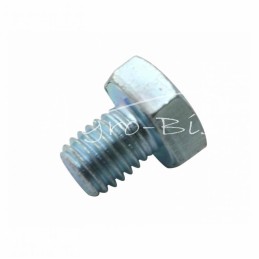 100 vnt - Šešiakampė galvutė, pilnas sriegis, M10x12, 8.8 klasė, DIN933, baltai cinkuotas - 5421100/8