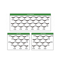 4 metrų tempimas, 4 eilių komplektas