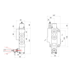 1 sekcijos hidraulinis skirstytuvas 80L su minkštų greitųjų jungčių komplektu, europietiškais lizdais