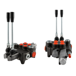 Hidraulinis skirstytuvas 2 sekcijų 80L originalus malkų skaldymui