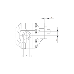 Hidraulinis siurblys pašarų vežimėliui, darbinis tūris: 61 cm3