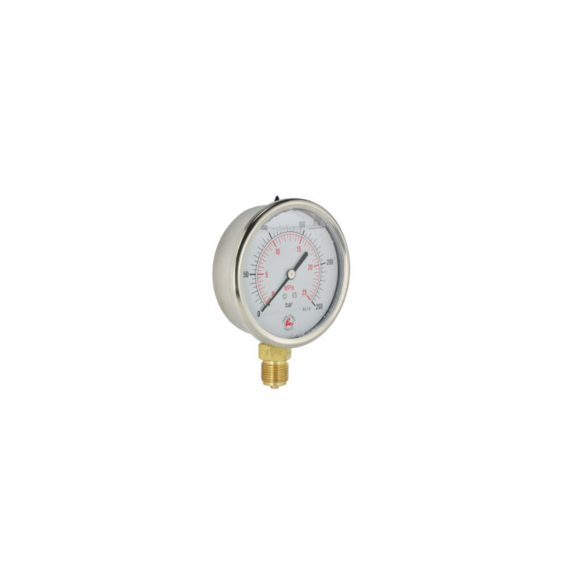 Glicerino manometras, kurio ciferblato skersmuo 100 mm, slėgio matavimo diapazonas 0–10 barų